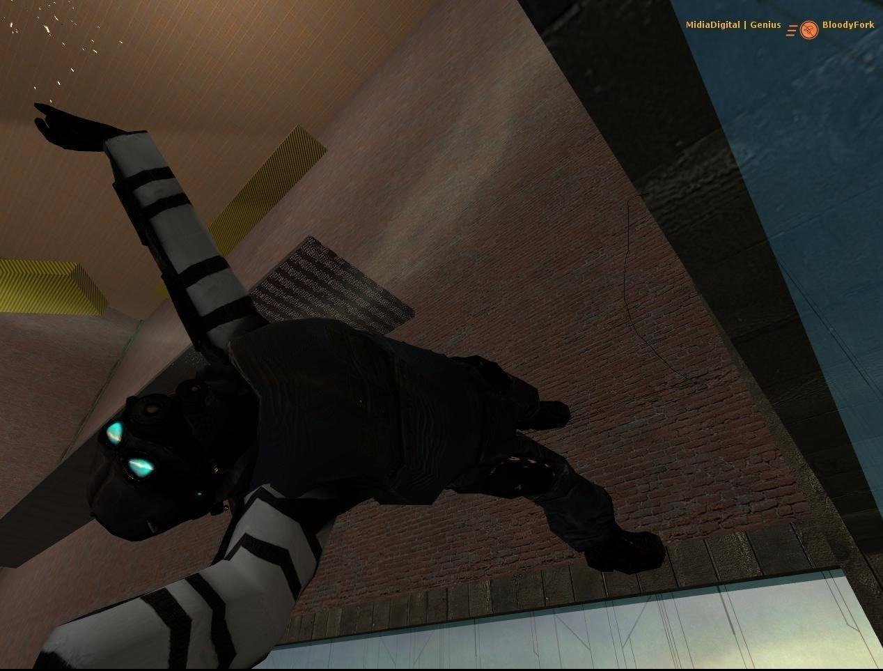 Half-Life 2: Deathmatch sistemų reikalavimai: minimalūs, rekomenduojami ir kaip pasitikrinti savo PC